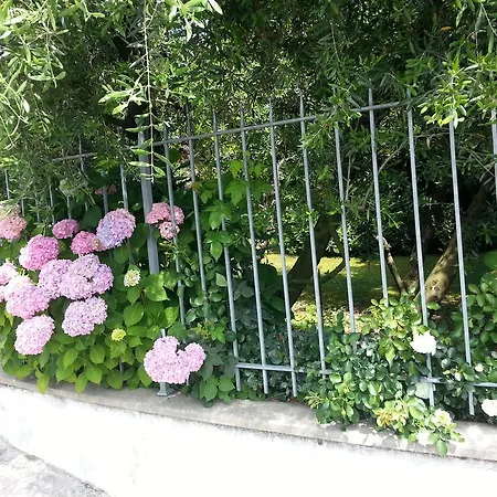 Celeste Appartement Lucques