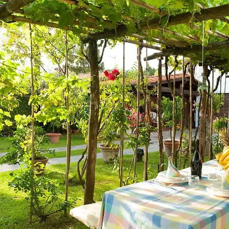 Celeste Appartement Lucques