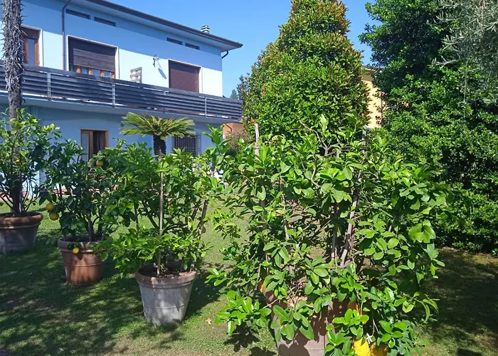 Celeste Апартаменты Лукка