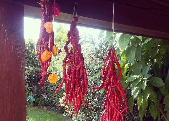 Celeste Апартаменты Лукка