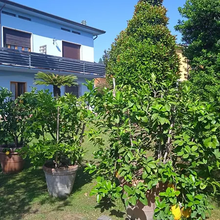 Celeste アパート ルッカ