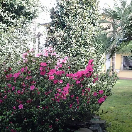 アパート Celeste