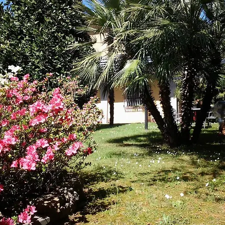 Celeste アパート *