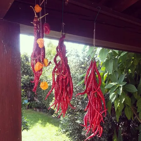 Celeste Apartmán Lucca