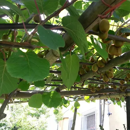 アパート Celeste *