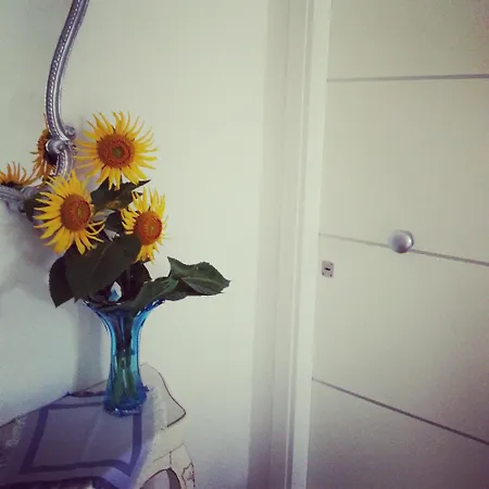 Apartmán Celeste Lucca