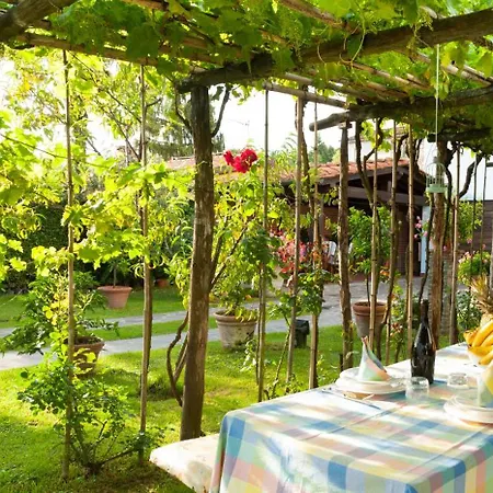 Celeste Apartmán Lucca