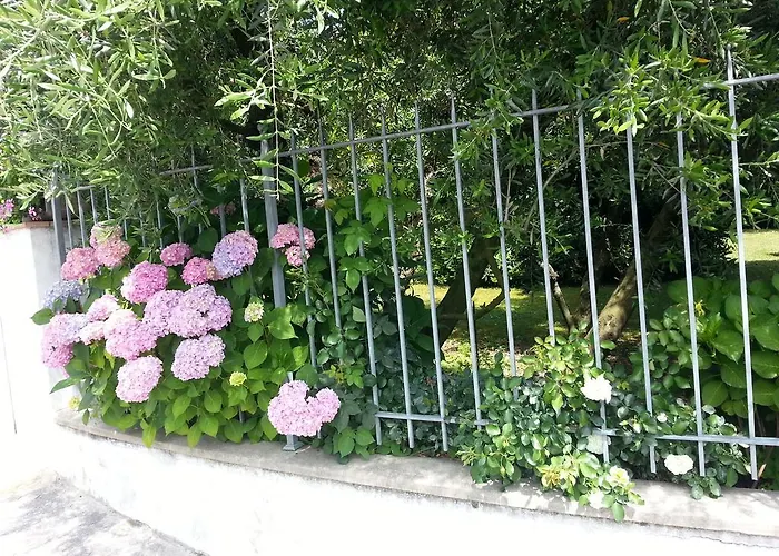 Celeste 아파트 루카